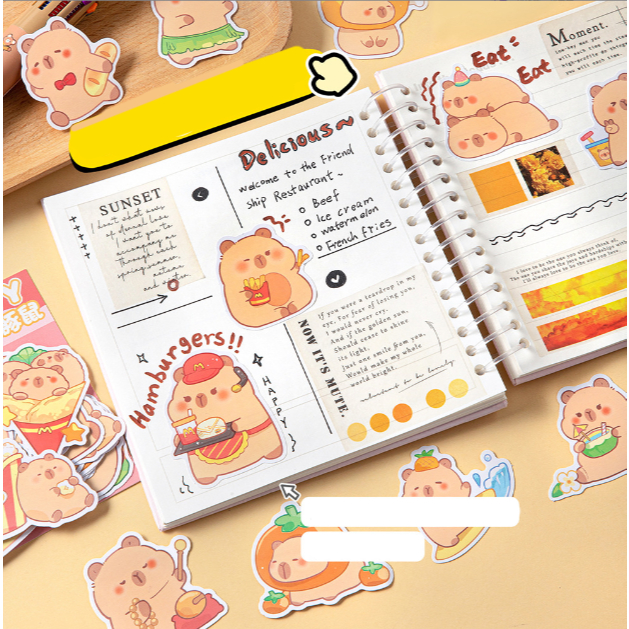 set sticker capybara chuột lang nước  S24 sticker cute sticker dễ thương