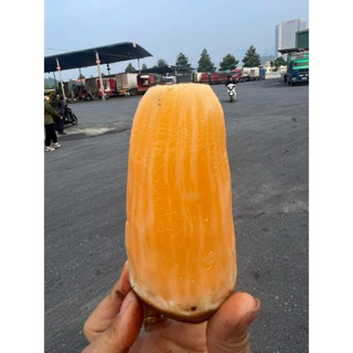 3KG KHOAI SÂM ĐẤT size TO KHÔ GIÒN VÀNG. NGỌT THANH MÁT, có mùi vị của sâm rất tốt cho sức khoẻ