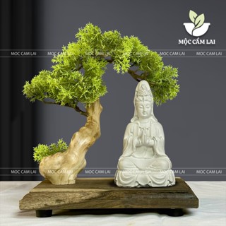 Bộ Tiểu Cảnh Bonsai Mini Đế Gỗ Đặt Tượng - Tiểu Cảnh Trang Trí Phòng Khách Bàn Làm Việc