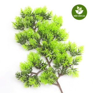  Lá Tùng Bách Bằng Nhựa Dùng Trang Trí Cây Cảnh Lũa Bonsai Tiểu Cảnh Hồ Cá Thủy Sinh 