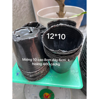 1kg Bầu ươm cây, túi bầu ươm hạt, bầu ươm hạt giống