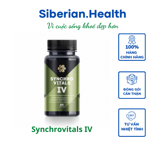 [ Hỗ trợ gan Date 10/2026 ] Syn 4 - Thực phẩm bảo vệ sức khỏe Synchrovitals IV siberian – 60 viên/lọ