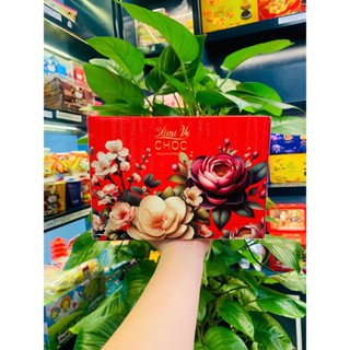 Bánh quy  VO mini vị sô cô la hương vani hiệu Vfoods 108g