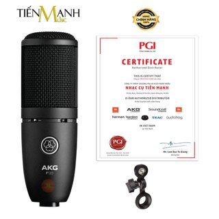 [Chính Hãng] AKG P120 Micro Vocal Condenser Thu Âm Phòng Studio, Mic Biểu Diễn Microphone Cardioid