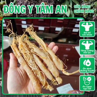 Hồng Sâm Sấy Dẻo HÀNG CAO CẤP Nhân Sâm Khô Sấy Dẻo Không Đường 100-300g| Đông y Tâm An