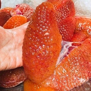 Trứng cá ngát hộp 500gr (giao hỏa tốc tphcm)