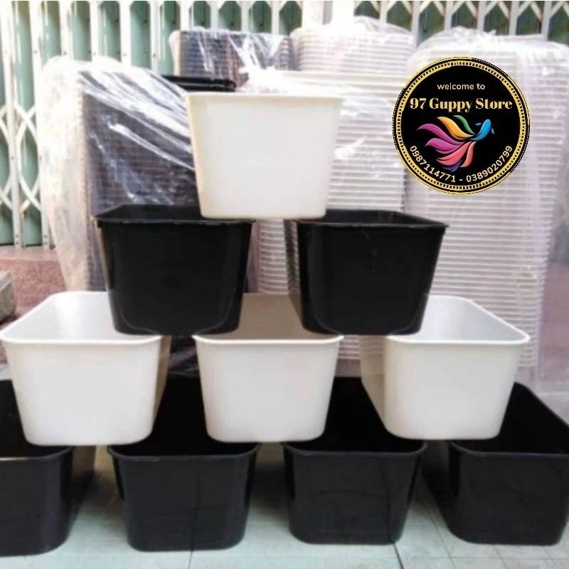 combo 2  Khay Nhựa 7 Lít 30x22x16cm Nuôi Cá 7 Màu, Betta, Guppy Và Các Loại Cá Cảnh