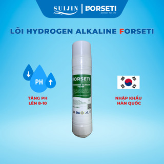 Lõi Chức Năng Hydrogen Alkaline FORSETI Nhập Khẩu Hàn Quốc Dạng Cắm Nhanh Chữ U Dùng Được Cho Máy Korihome