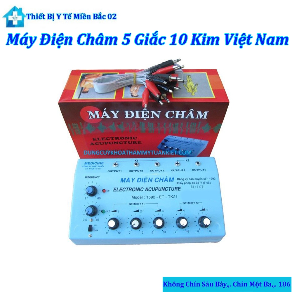 Máy Điện Châm 5 Giắc 10 Kim Việt Nam