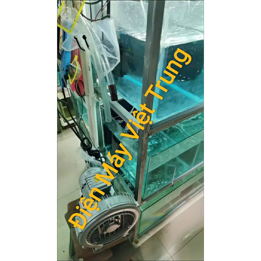 Máy thổi khí oxy con sò 250w-370w-550w sục oxy bể hải sản,bể kanet,bể nuôi cá