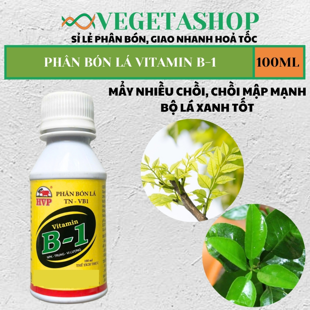[ Dùng Là Hiệu Quả ] HPV Vitamin B1 - VEGETASHOP - Kích Ra Hoa B1 100ml