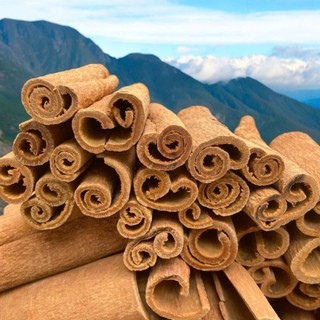 Bột quế sạch thơm ngon đậm vị dùng trong ăn uống