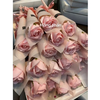 BÓ ỐC QUẾ 1 bông Hàn quốc
