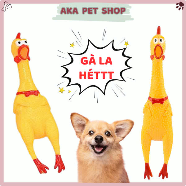 Gà kêu đồ chơi, gà la hét đồ chơi cho chó mèo - Aka Pet Shop
