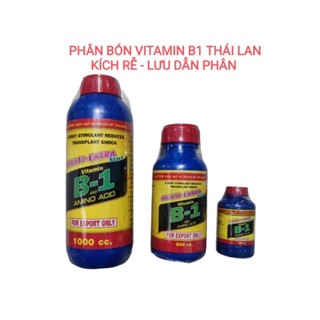 Phân bón vitamin B1 Thái Lan, kích thích ra rễ mạnh