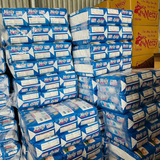 (Sỉ 100m) Tã dán người già Merzy ML10 M10 XL10 #Tã già Merzy #Bỉm Merzy #bỉm già Merzy #tã merzy #honey #caryn merzy