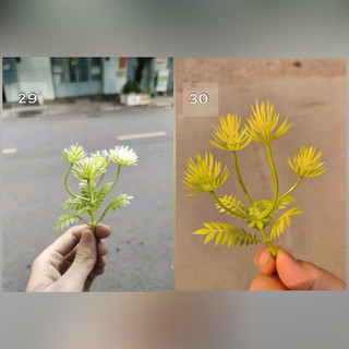 100gr hoa cỏ điểm trang trí- đã nhặt bỏ dây cọng
