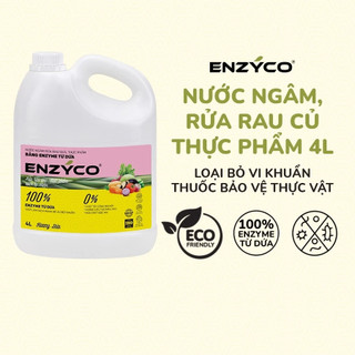 Nước Ngâm Rửa Rau Củ Quả Sinh Học ENZYCO 4L Từ Enzyme Dứa  Làm Sạch Thực Phẩm