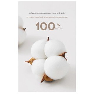 Áo thun nữ form rộng 100% cotton cổ tròn in basic