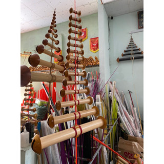 Sáo Diều - Âm Đàn Bò D50-55 x 15 sáo