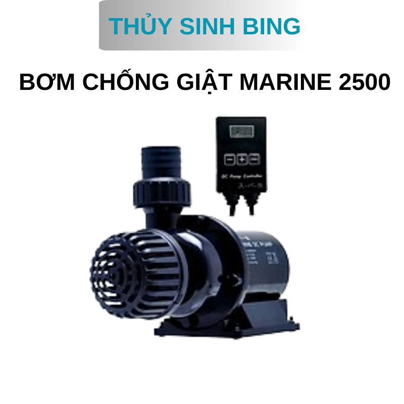 Bơm chống giật MARINE DC  2500L/H.