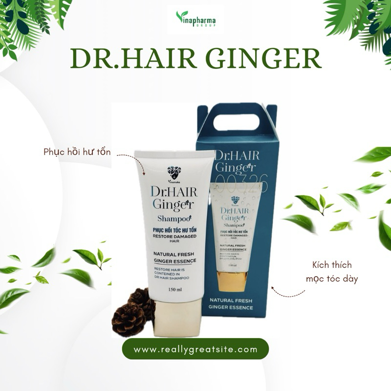Dầu gội phục hồi Dr.Hair Ginger Phục Hồi Hư Tổn kích thích tóc mọc dày