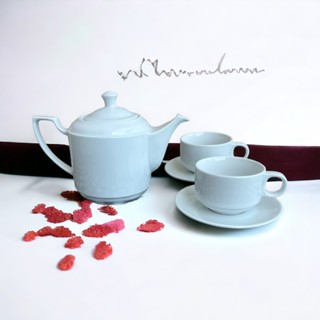 Ấm trà vuông cao dung tích 500ml sứ trắng OHIO.