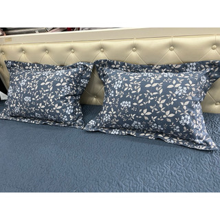 Set 2 vỏ gối đầu cotton Hanvico