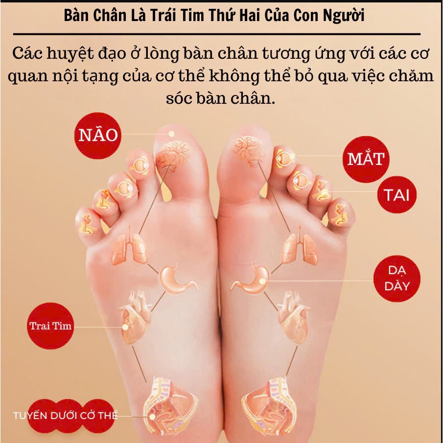 “SHOCK” Dán Chân Thải Độc Chân Ngải Cứu Giúp Ngủ Ngon Giảm Nhức Mỏi Thải Độc Chân Thanh Lọc Cơ Thể