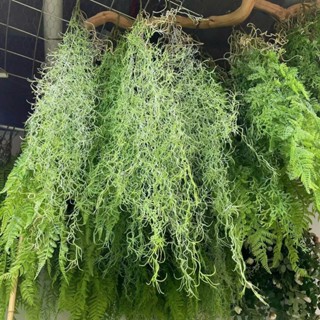 Dây leo giả, chùm lá giả treo tường, dây cúc tần ấn độ, cụm dương xỉ, bạch đàn trang trí cửa hàng, spa, văn phòng
