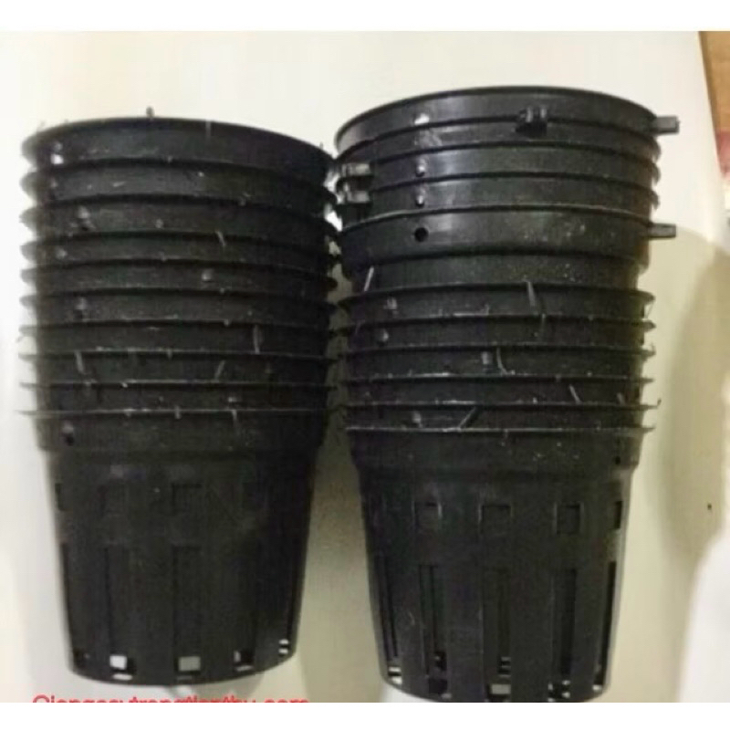 COMBO-10 CHẬU NHỰA ĐEN TRỒNG LAN PHI 12