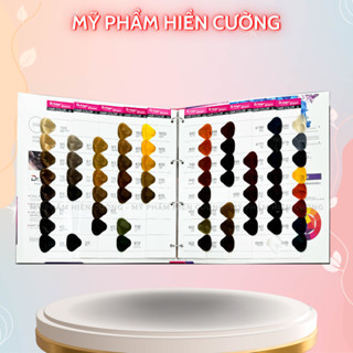 Bảng màu thuốc Nhuộm Hàn Hair Care trưng bày Salon, thuốc nhuộm tóc hot trend