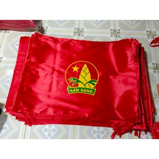 Cờ đội in 2 mặt, cờ măng non in 2 mặt (chọn size)