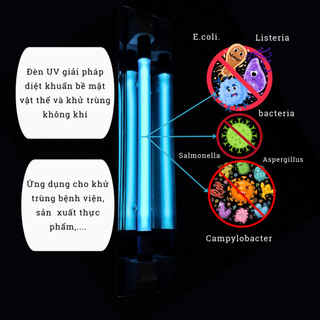COMBO 10 bộ bóng máng uv60cm