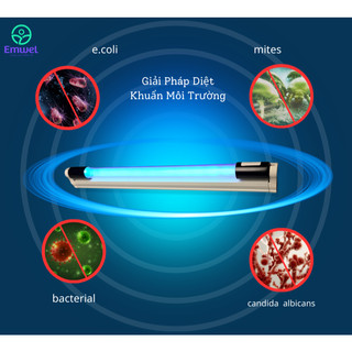 COMBO 10 bộ bóng máng uv60cm