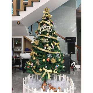 Cây Thông Noel Xanh Trơn 1m8 650 cành