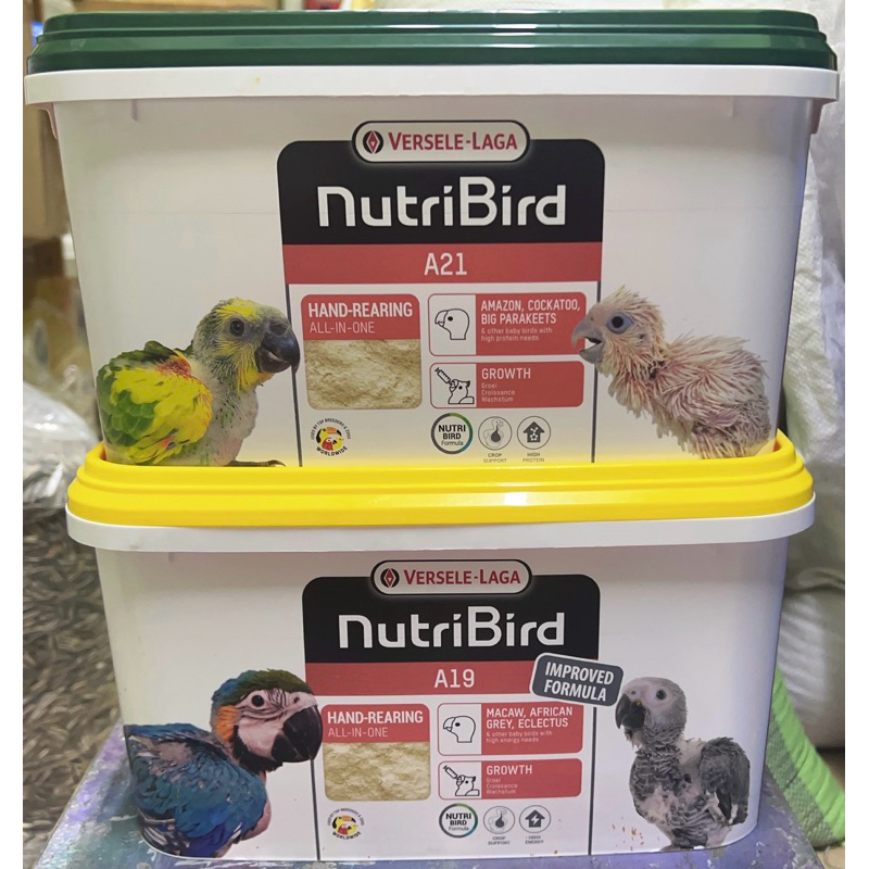 200Gam Bột A21/A19 Cho Vẹt Non