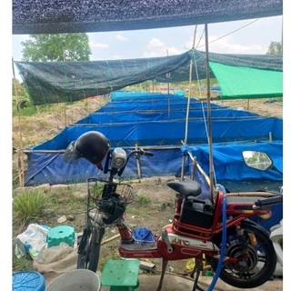 [ Tặng van xả ] Bể bạt nuôi ốc ếch cá lươn xanh dương 3x2x1, dầy dặn chắc chắn