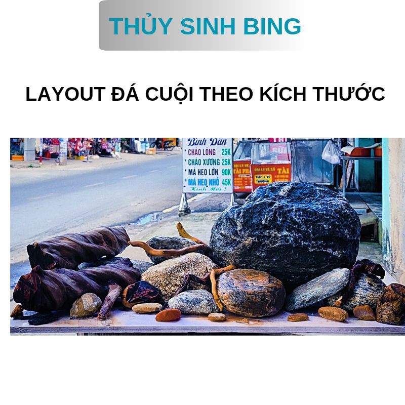 Layout Đá Cuội trang trí hồ cá theo kích thước (từ 20 đến 50)