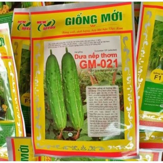  Hạt giống dưa chuột nếp thơm GM - 021- gói 10 gam 
