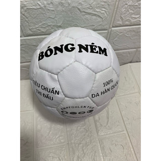 f10 Q6.hoả tốc (2-4h)Bóng ném