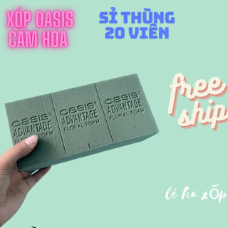 [ Sỉ thùng 20 viên ] Xốp xanh cắm hoa tươi, hoa sáp, mút xốp Oasis Advantage loại 1