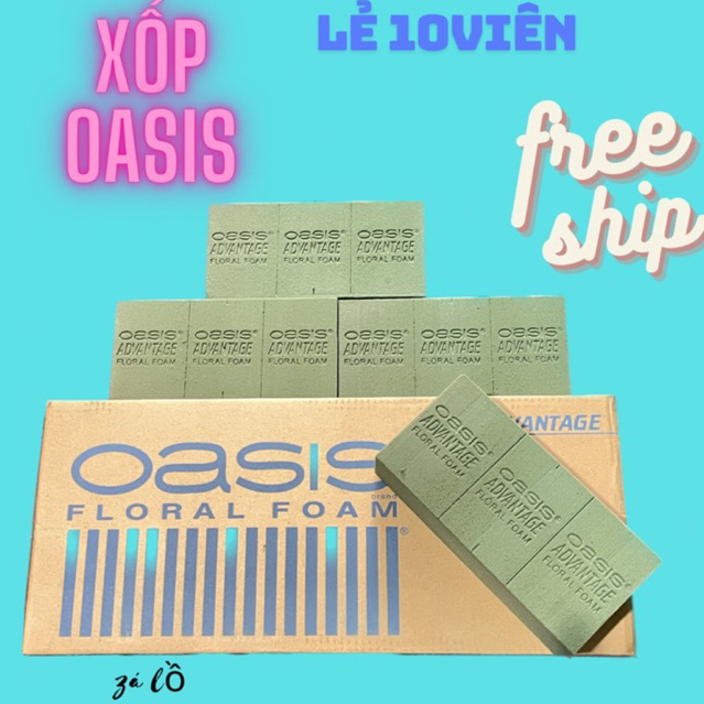 10 viên Xốp Cắm Hoa Oasis