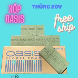 10 viên Xốp Cắm Hoa Oasis