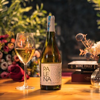 Rượu Vang Chile Palena [Nhập khẩu nguyên chai]