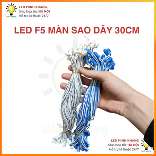 Đèn led đúc F5 12V dây dài làm màn sao, làm biển quảng cáo, đèn trang trí ngoài trời chống nước