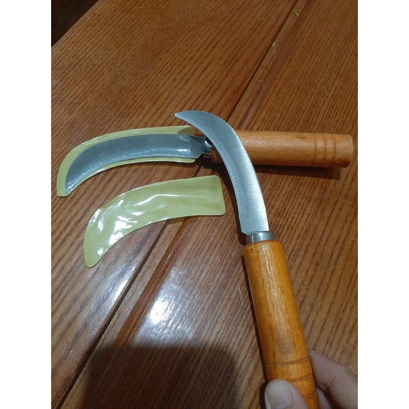 Dao gọt  trái  cây nhỏ