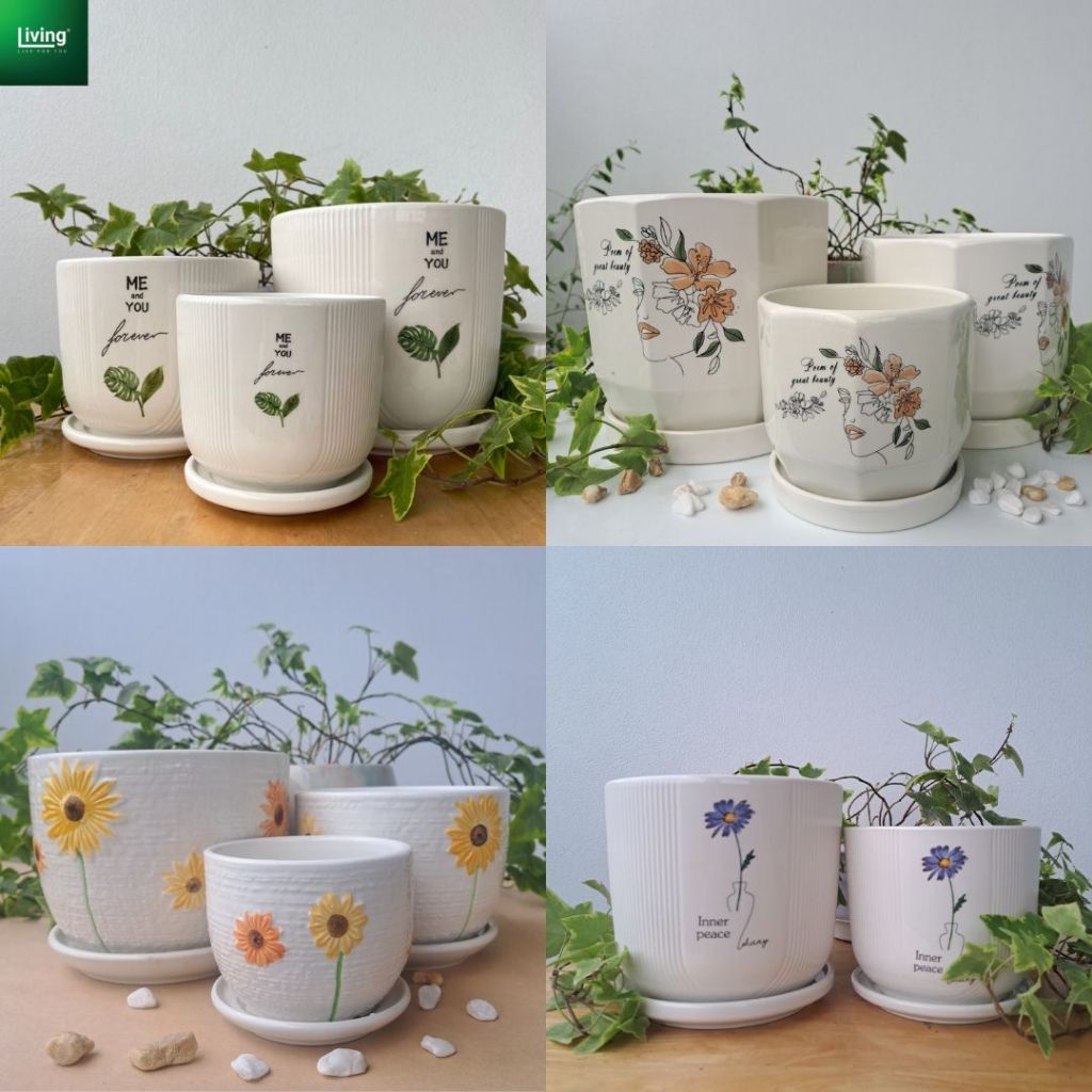  Chậu sứ trồng cây kèm đĩa hứng nước,chậu trồng cây để bàn,cây văn phòng cây phong thủy|Living Decor 