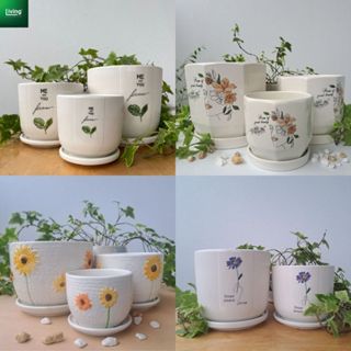 Chậu sứ trồng cây kèm đĩa hứng nước,chậu trồng cây để bàn,cây văn phòng, cây phong thủy|Living Decor