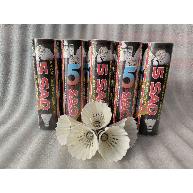 Ống Cầu Lông 5 sao